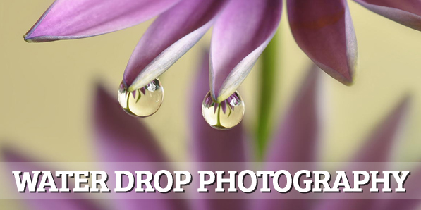 42 Beautiful Examples Of Water Drop Photography