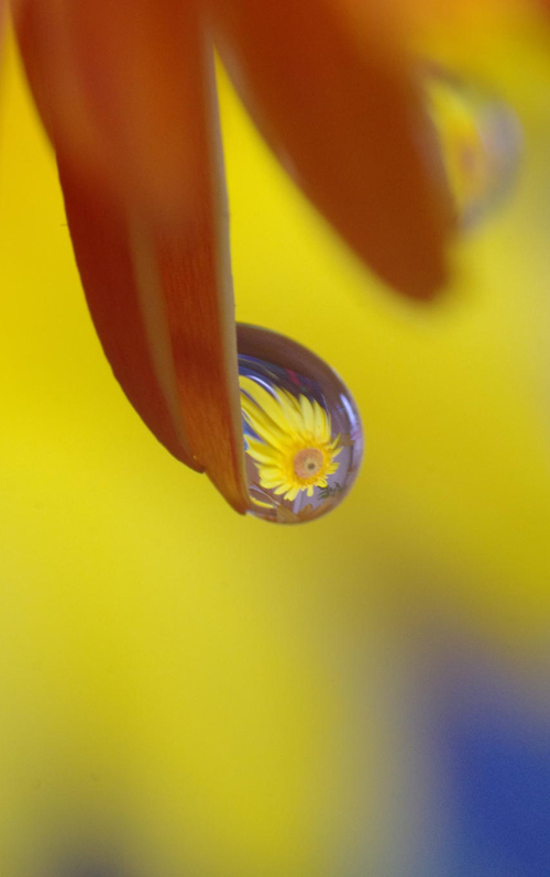 Water Drop Photography - 1