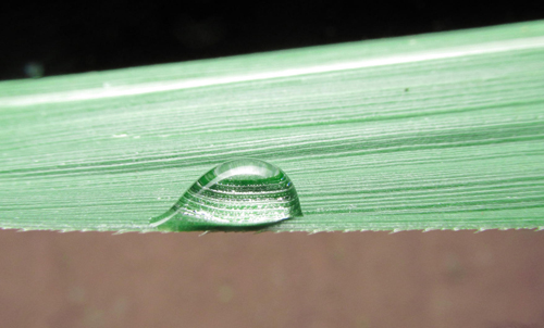 Water Drop Photography - 14