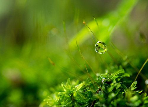 Water Drop Photography - 15