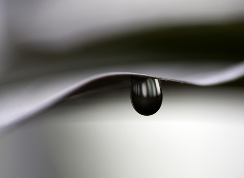 Water Drop Photography - 17