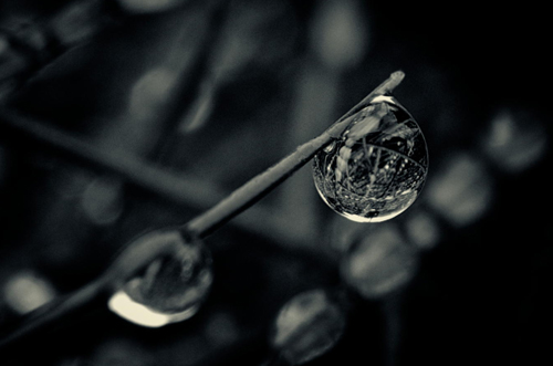 Water Drop Photography - 19