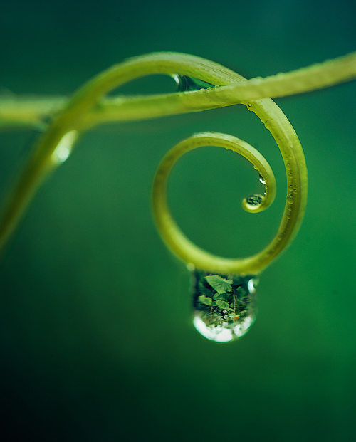 Water Drop Photography - 22