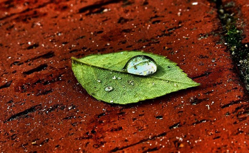 Water Drop Photography - 23