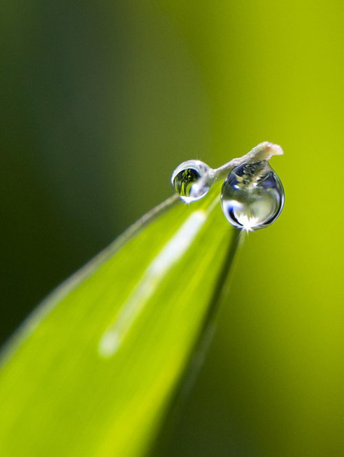 Water Drop Photography - 24