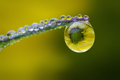 Water Drop Photography - 26