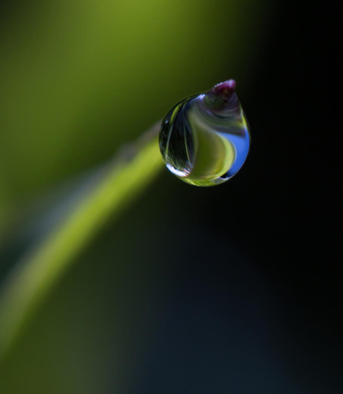 Water Drop Photography - 28
