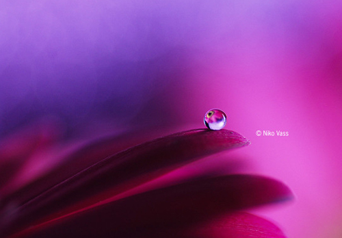 Water Drop Photography - 36
