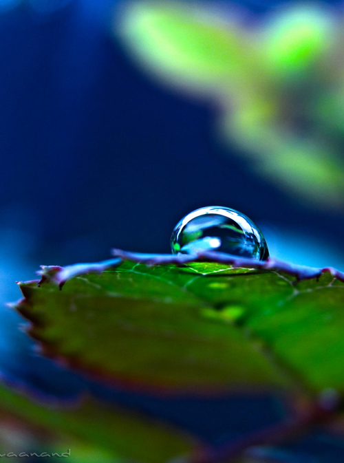 Water Drop Photography - 37
