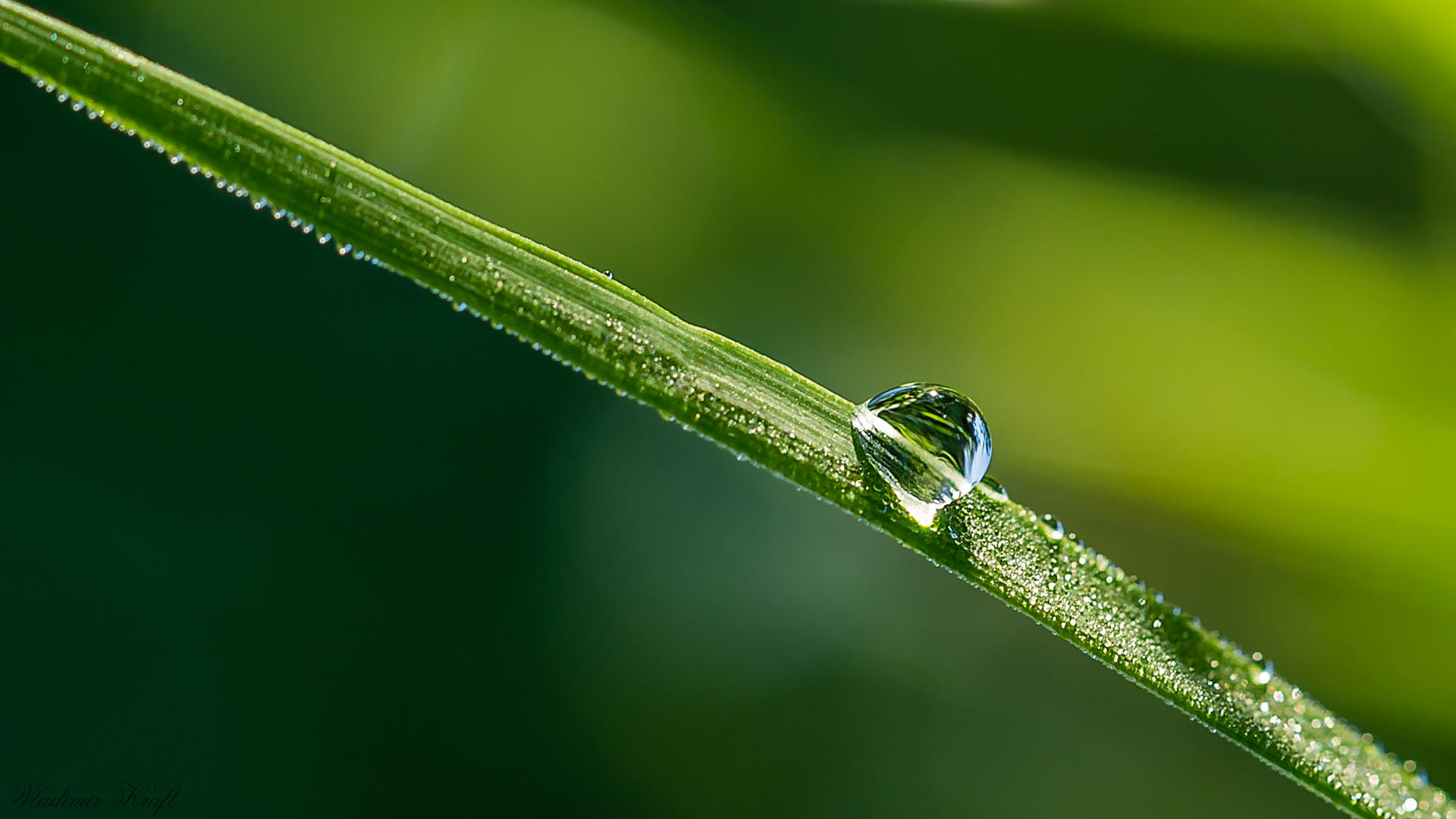 Water Drop Photography - 42
