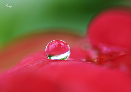 Water Drop Photography - 5