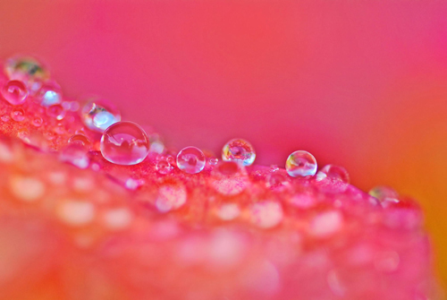 Water Drop Photography - 7