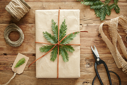 Still life of homemade wrapped present with pine branch