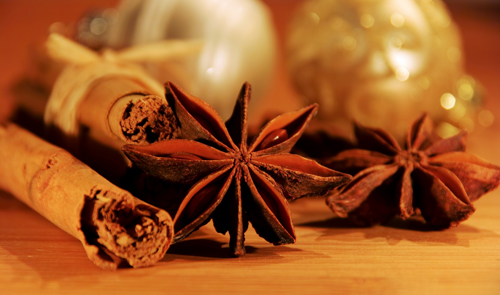 zimtstange und anisstern cinnamon stick and star from anis