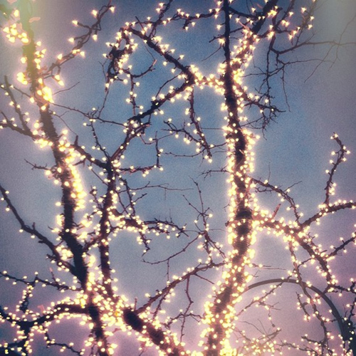 Twinkle Lights Photography-2