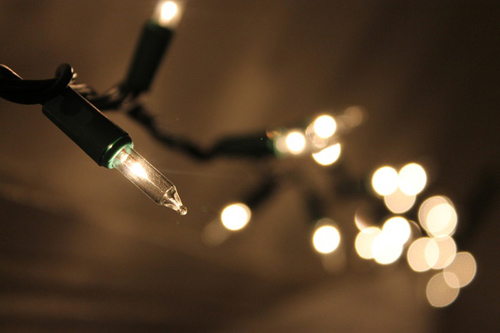 Twinkle Lights Photography-26