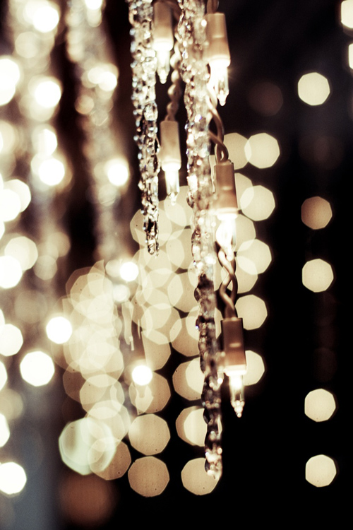 Twinkle Lights Photography-6