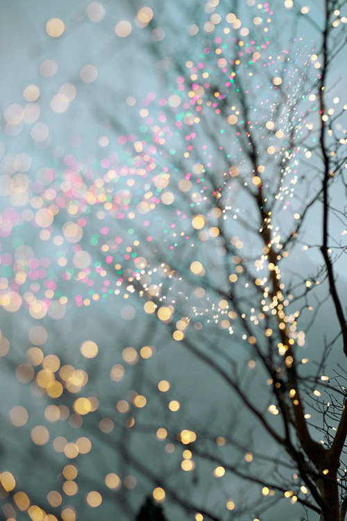 Twinkle Lights Photography-8