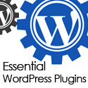 Post thumbnail of 5 Essential WordPress Plugins for Bloggers and Freelancers