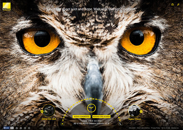 Nikon Image Quality Experience #CSS3 #website #design