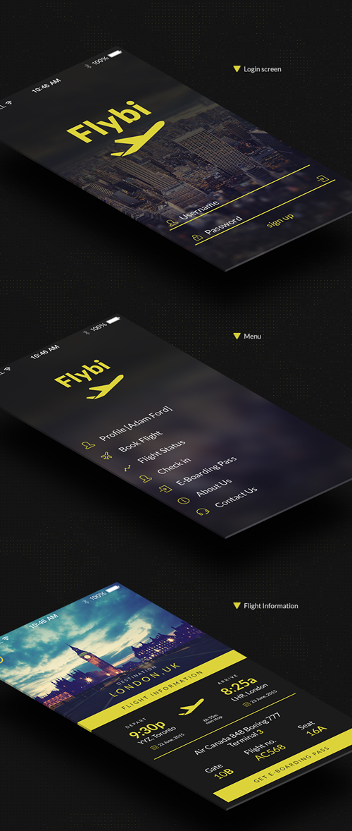 Flybi iOS application template