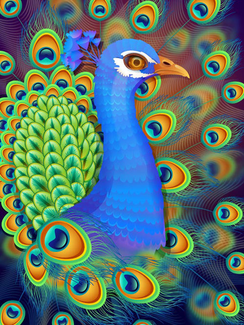 Create a Vibrant Peacock in Adobe Illustrator