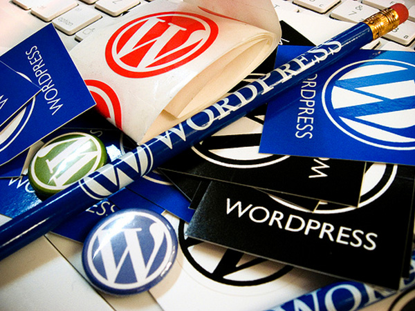 Plugins & Widgets WordPress