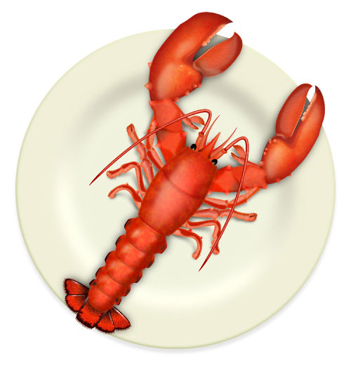 How to Create a Fresh Cooked Lobster on a Plate Illustrator Tutorial