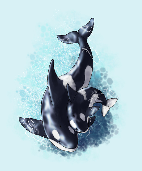 How to Draw Animals: Dolphins, Whales and Porpoises in Illustrator