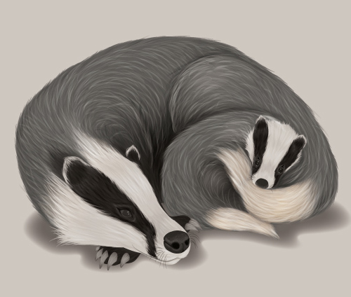 Create a Fur Texture, Family Badger Scene in Adobe Illustrator