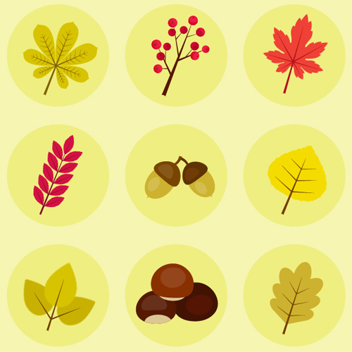 How to Create Autumn Leaves, Berries and Chestnut Icons in Adobe Illustrator