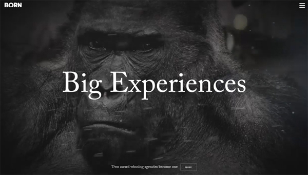 parallax scrolling WP websites