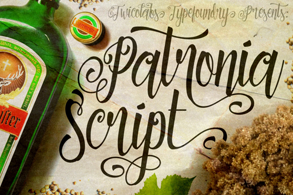 Patronia Script is a brush-lettering inspired script typeface