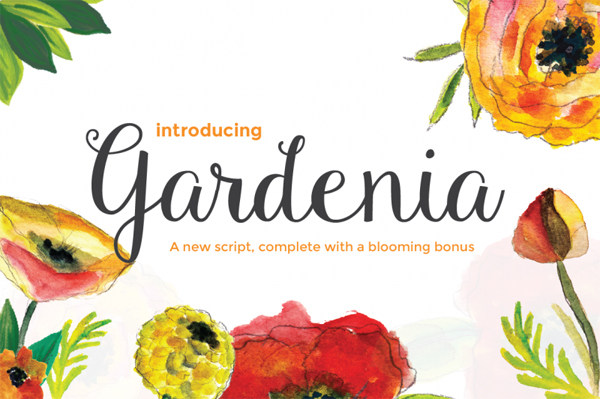 Gardenia Script is a new hand crafted typeface