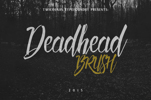 Deadhead Brush is a script typeface