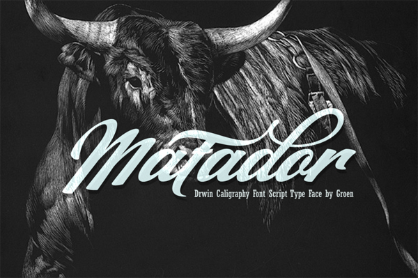 Matador is a hand drawn, stylish copperplate calligraphy font