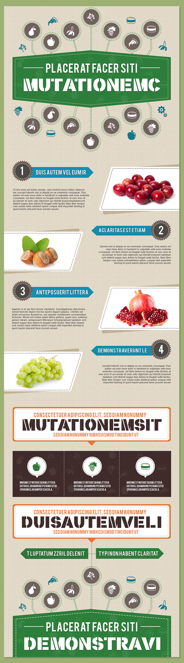 Free Infographics PSD Template in Food and Nutrition Theme – 3 Color Options