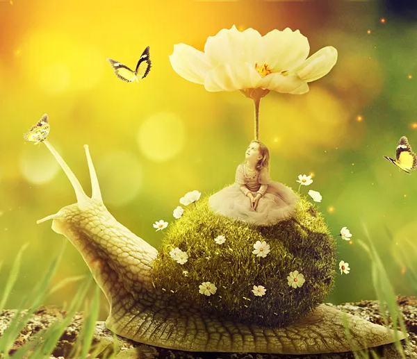 Create A Surreal Snail With A Grassy Shell In Photoshop