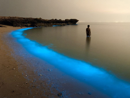 Plankton Lights At Beach Of Larak, Iran Landscape photography