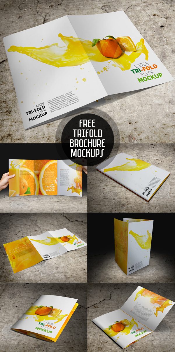 Free Large Tri-Fold Brochure Mockup PSD