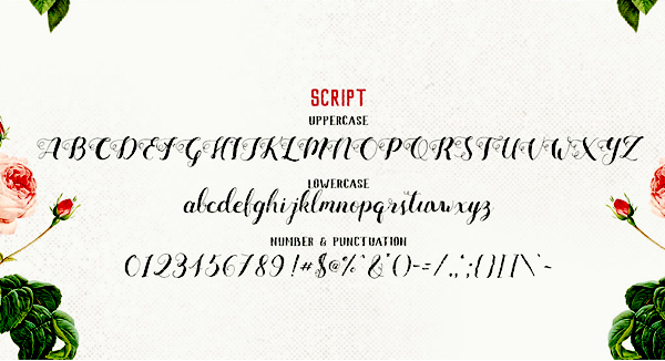 Mightype Script Font Letters and Numbers