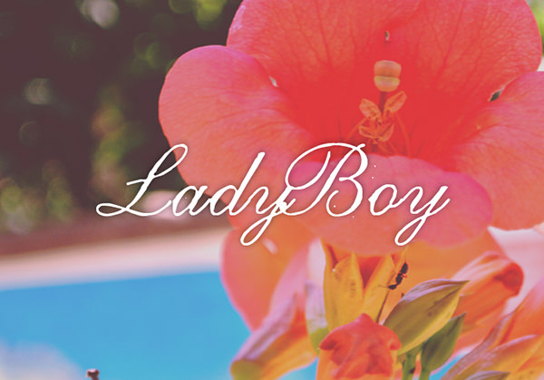 LadyBoy Free Font