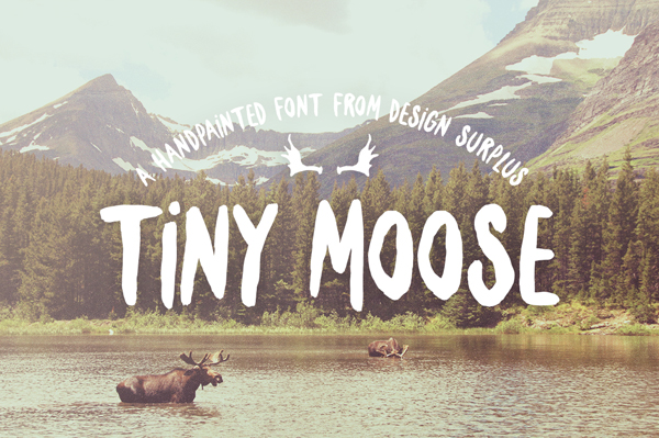 Tiny Moose Bold New Font