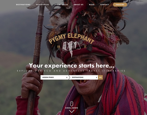 Trendy Web Design Examples for Inspiration-11
