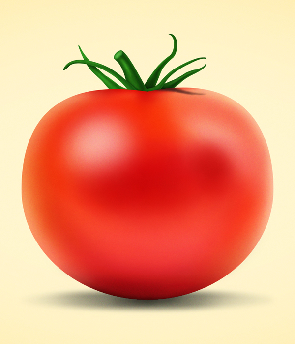 Realistic Tomato Design