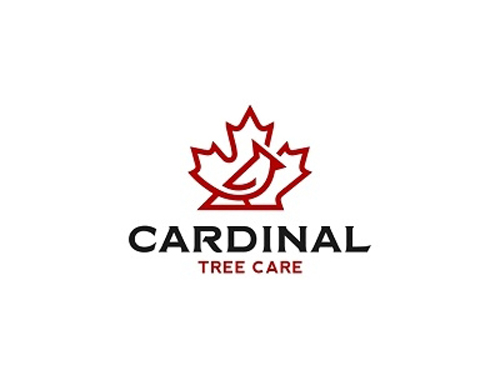 Cardinal Tree Care by Stefan Ivankovic