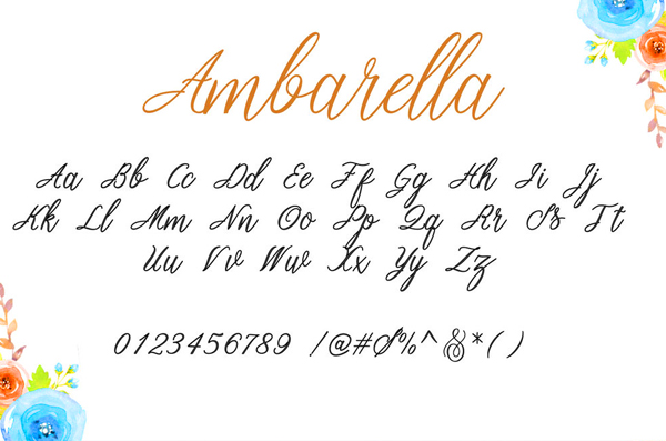 Ambarella Font Letters and Numbers