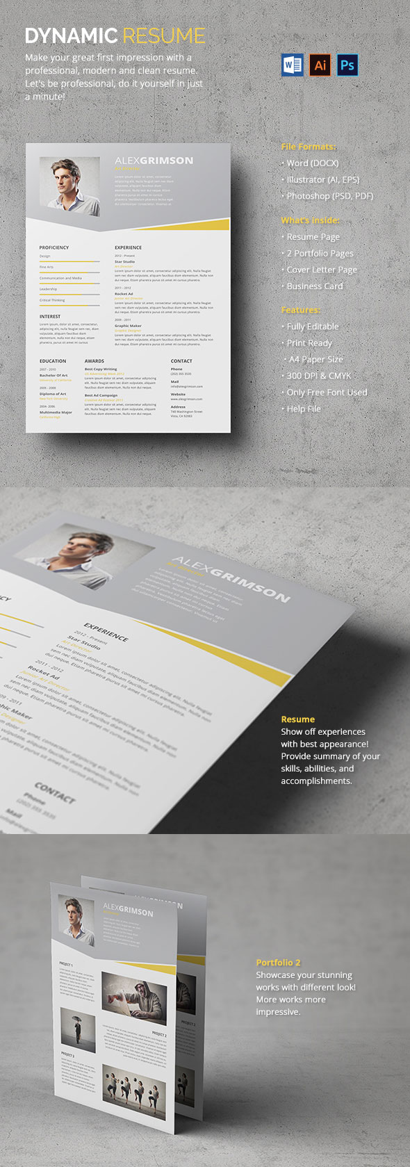 Dynamic Resume - With Portfolio Pages Included