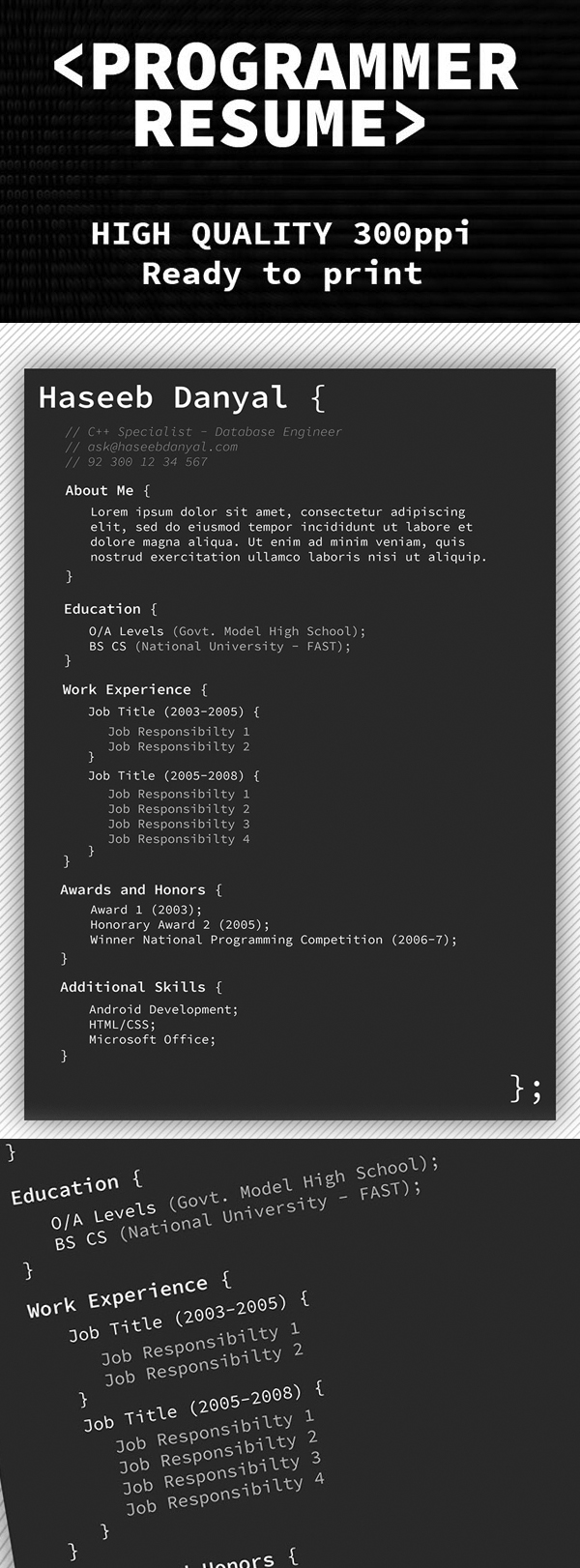 Free Programmer Professional Resume Template