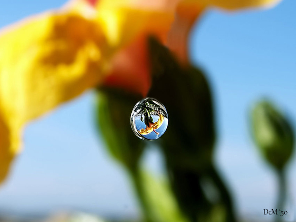 Water Drop Photography - 24